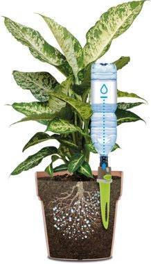 Aquaflora ferievander