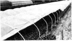 Propex - Hartving