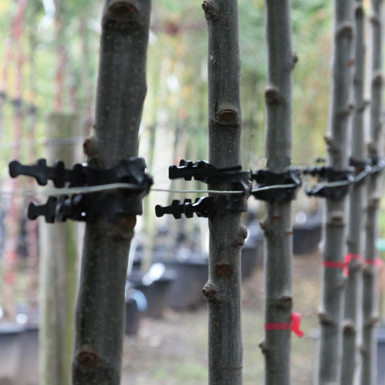 Super Soft TP og TST remme