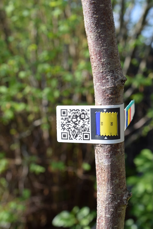 Smart træetiket med variabel QR kode
