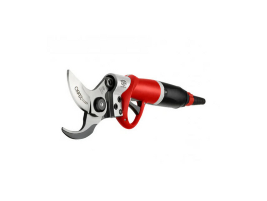 Felco 822 elsaks