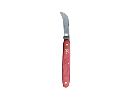 Victorinox kniv 613